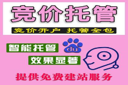 信息流广告代运营公司案例：打造高效营销解决方案